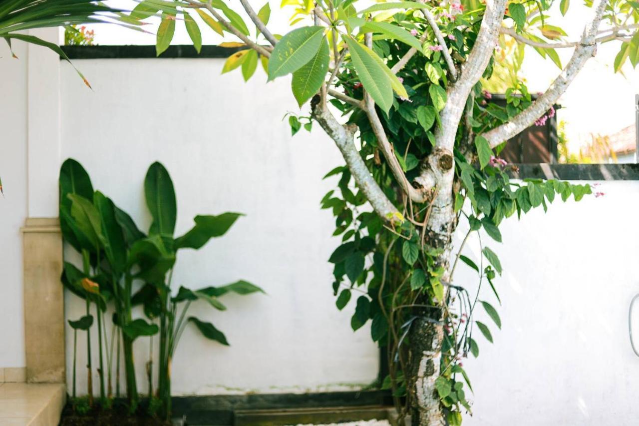 Adi Guest House Canggu Eksteriør billede