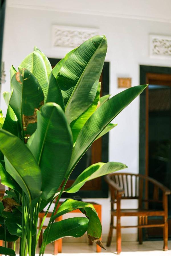 Adi Guest House Canggu Eksteriør billede